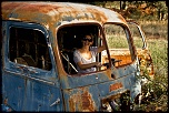 -img_3553.jpg