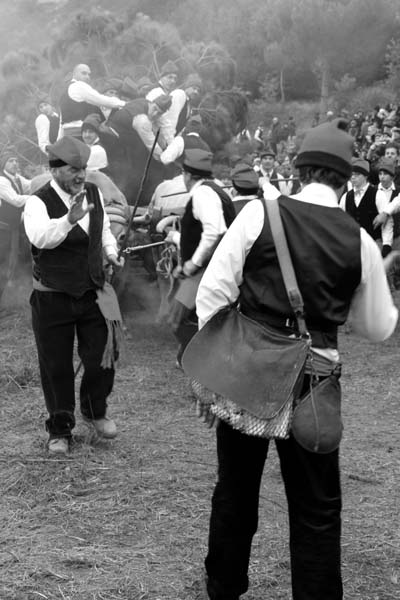 -festa-del-pi-2010-160-copie.jpg