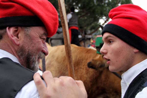 -festa-del-pi-2010-192-copie.jpg