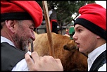 -festa-del-pi-2010-192-copie.jpg