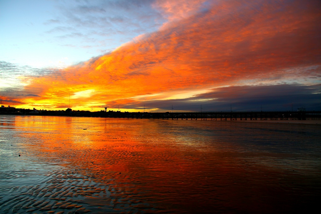 -img_4084.jpg