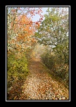 -la-route.jpg