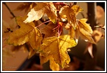 Belles couleurs