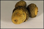 Logiciel DXO-gland-hfred.jpg