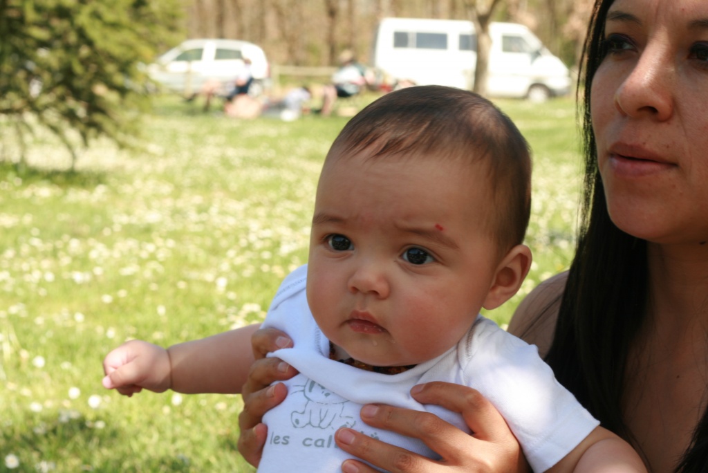 70-300 Sigma APO-img_0696.jpg