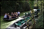 -img_7147.jpg