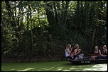 -img_7145.jpg