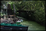 -img_7144.jpg