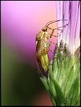 -2011_09_17_0261a.jpg