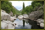 encore un nouveau &#33;&#33;&#33;-img_4439-bordermaker.jpg