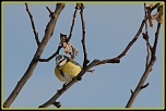 encore un nouveau &#33;&#33;&#33;-img_0736-bordermaker.jpg