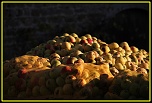 hell-img_8040-bordermaker.jpg