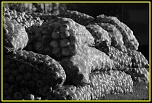 hell-img_8043-bordermaker.jpg