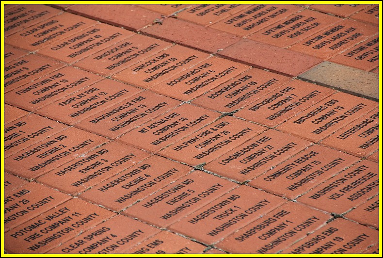 70-300 Sigma APO-img_7187-bordermaker.jpg