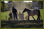 hell-img_4303-bordermaker.jpg