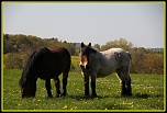 hell-img_4219-bordermaker.jpg