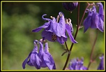 hell-img_4650-bordermaker.jpg