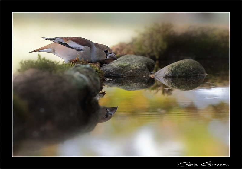 -img_3026-23.jpg