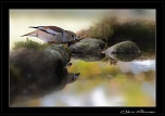 -img_3026-23.jpg