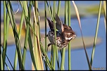 -img_0077-1-4.jpg