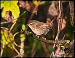 -img_0003-1-4.jpg