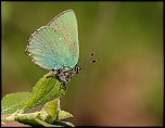 -img_8182.jpg