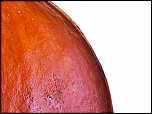300D/10D-211.jpg