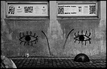 Mise en ligne de vos photos-olr2917a.jpg