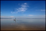 Mise en ligne de vos photos-olr4055.jpg