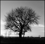 Mise en ligne de vos photos-olr2436a.jpg
