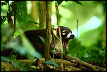 Logiciel DXO-coati01.jpg