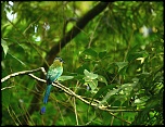 Logiciel DXO-motmot.jpg