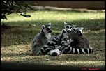 Restons groupés La Palmyre