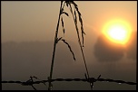 -img_1260.jpg