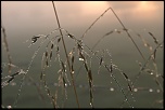 -img_1264.jpg