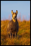 encore un nouveau &#33;&#33;&#33;-img_4547.jpg