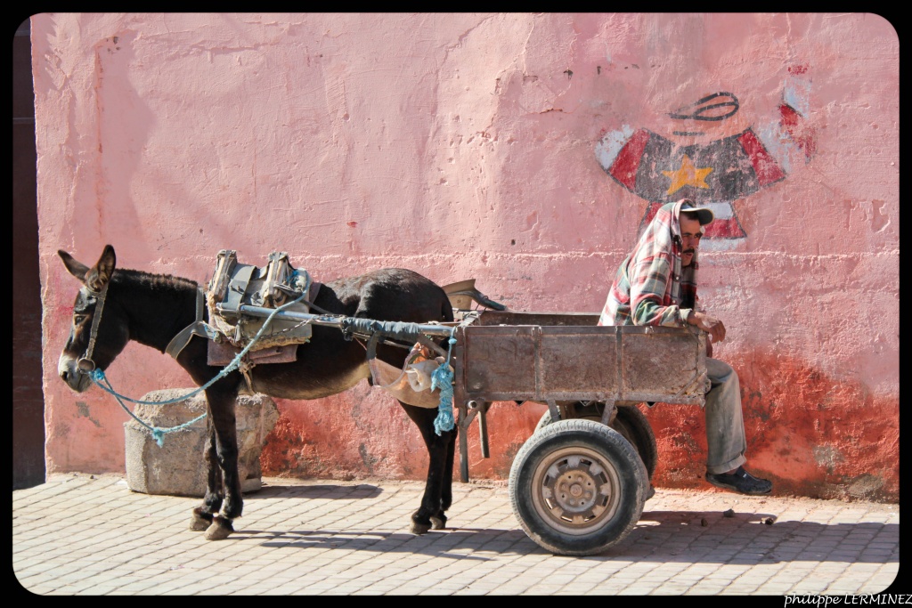 -maroc-novembre-2011-039.jpg