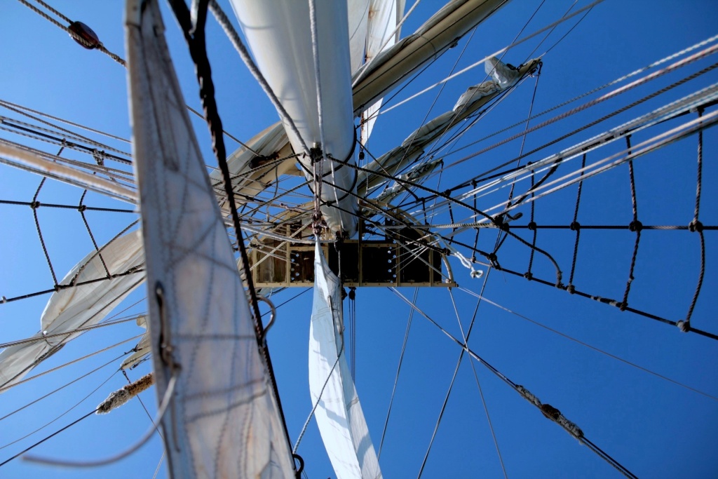 nouveaux membre-image_1000000155.jpg