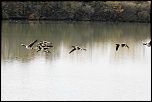 -2011_11_05_1257_dxo.jpg
