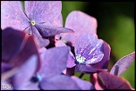-img_8889-1.jpg