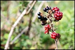 -img_8781-1.jpg
