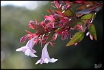 -img_8936-1.jpg