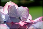 -img_8527-1.jpg