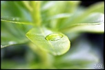 -img_8969-1.jpg