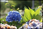-img_9602-1.jpg
