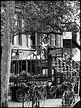 -p1030360nb.jpg