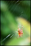 nouveaux membre-img_8570-1.jpg