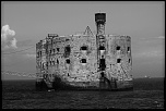 nouveaux membre-img_8583anb1024.jpg