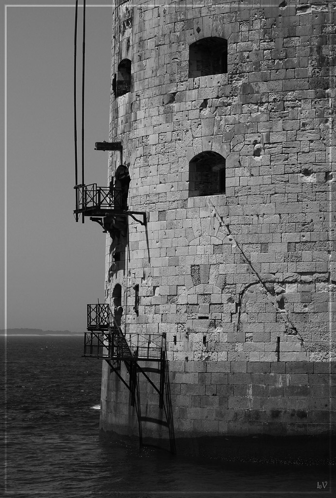 nouveaux membre-img_8589-1024.jpg