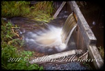 -vila_20110905_camping-ste-monique_114714.jpg